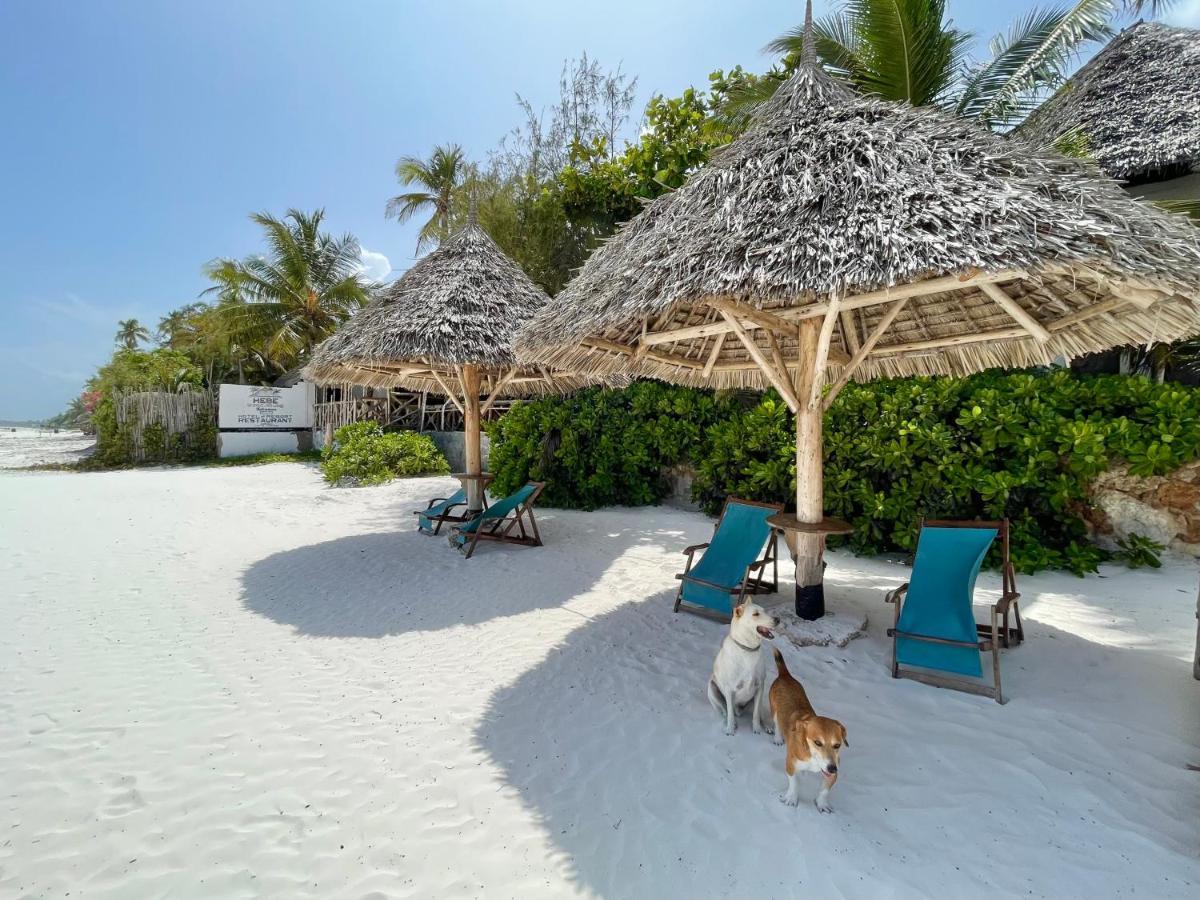 Hebe Bungalows Lodge Matemwe  Luaran gambar