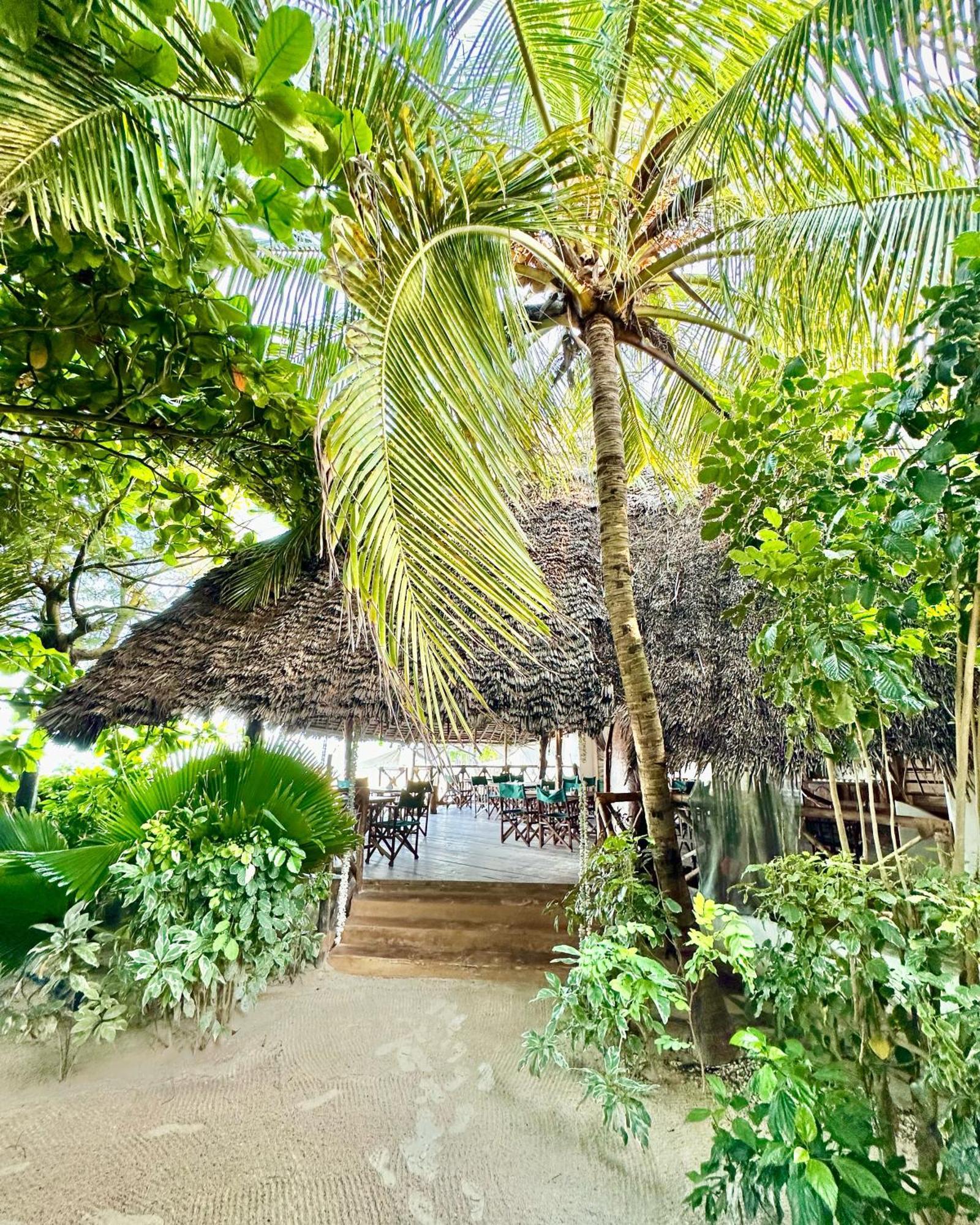 Hebe Bungalows Lodge Matemwe  Luaran gambar
