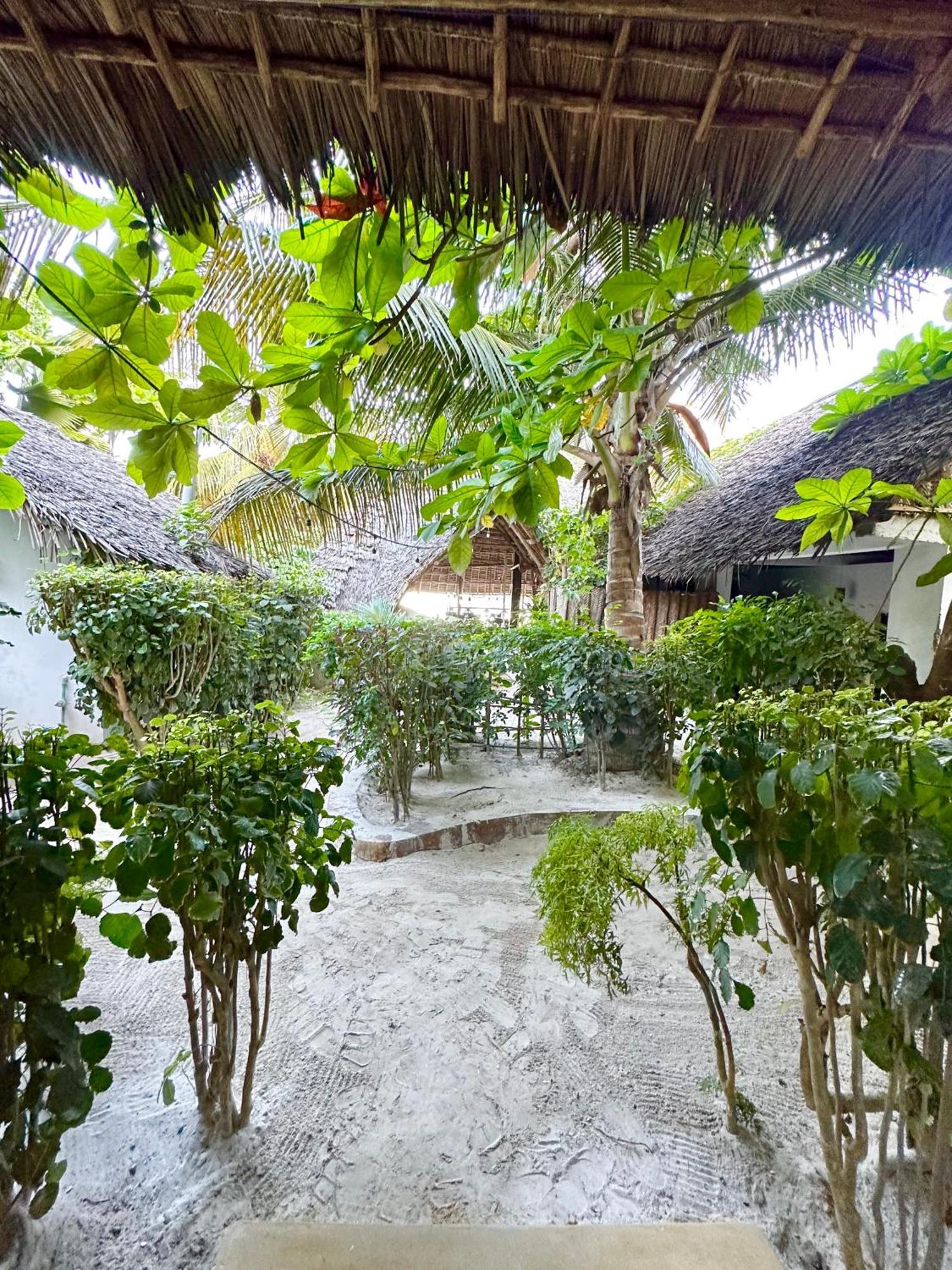 Hebe Bungalows Lodge Matemwe  Luaran gambar